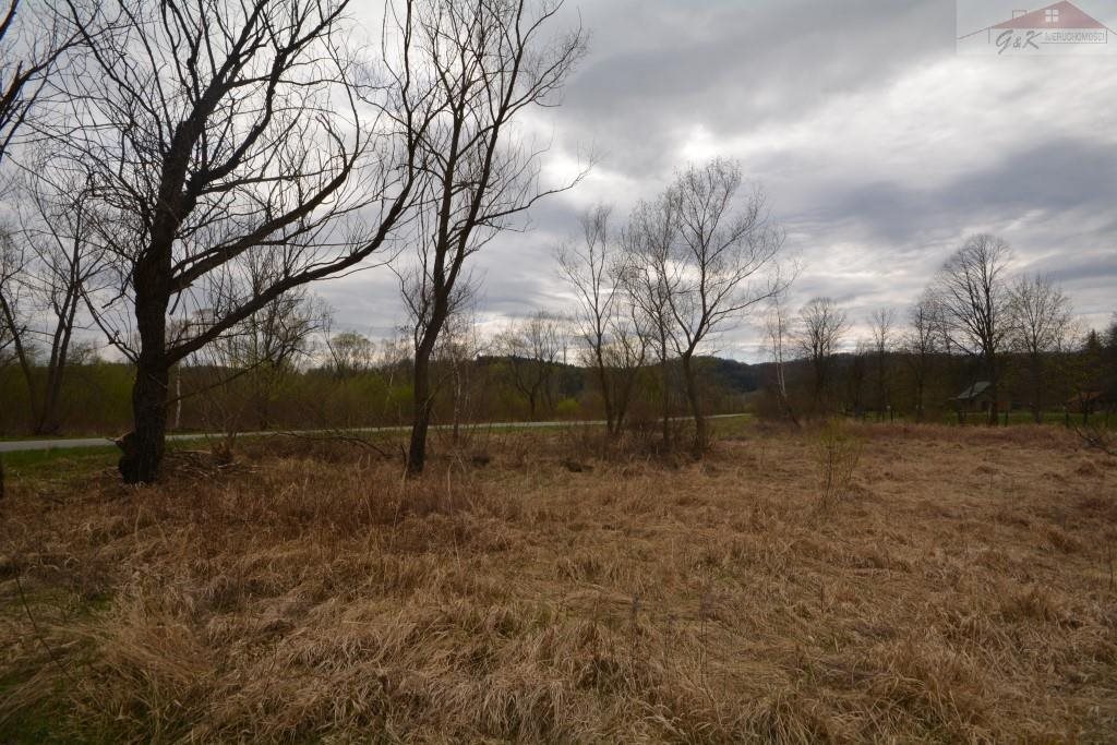 Działka rekreacyjna na sprzedaż Nowe Sady 2 900m2 Foto 1 Działka rekreacyjna na sprzedaż Nowe Sady 2 900m2 Foto 1