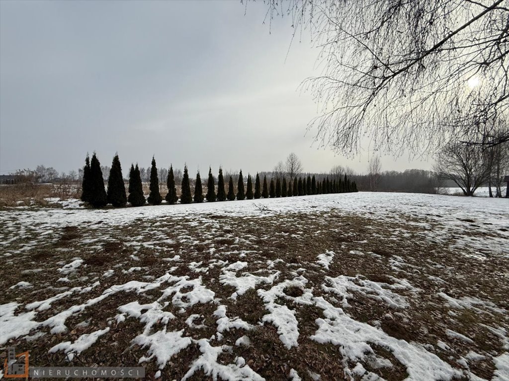 Działka rolna 23 arów w Bibicach – spokojna okolica Bibice  2 300m2 Foto 1