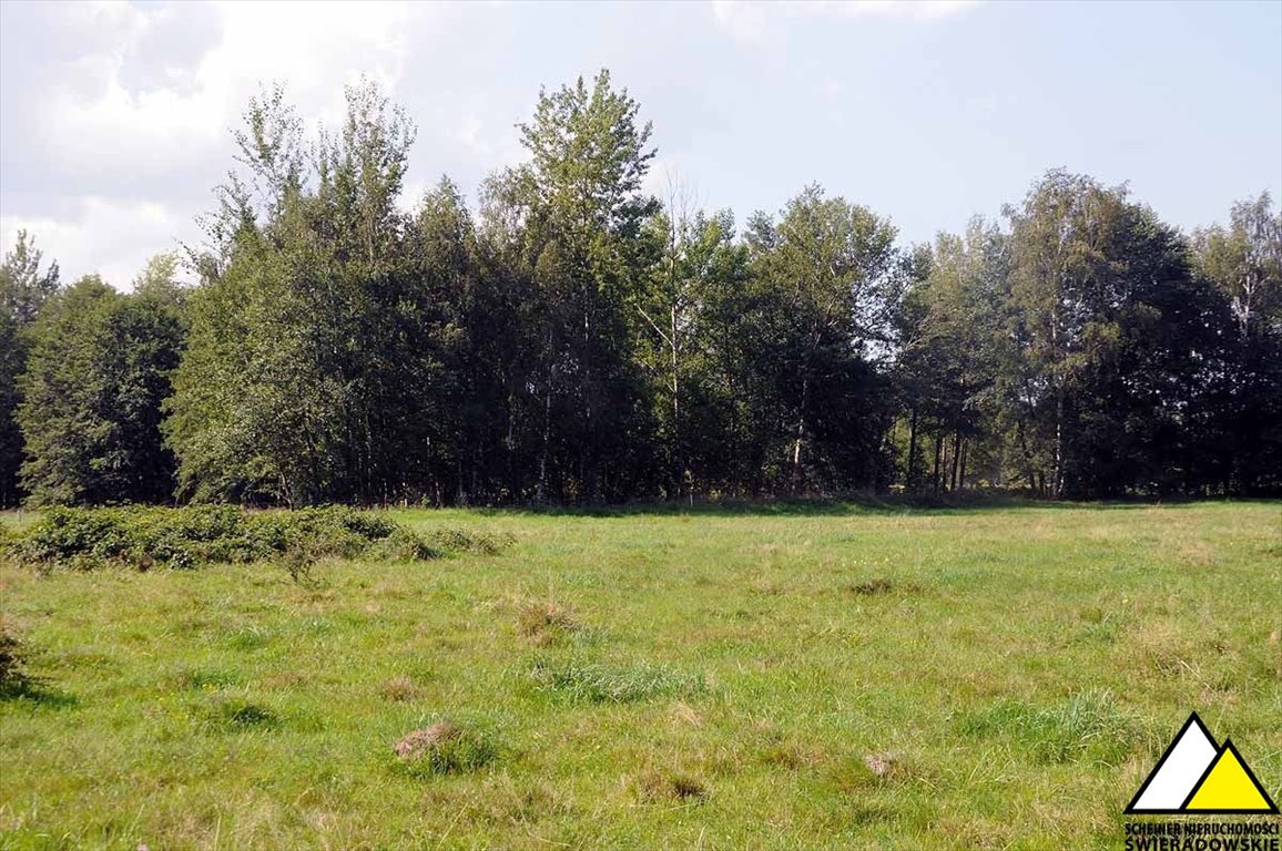 Działka rekreacyjna na sprzedaż Kamień  6 100m2 Foto 13