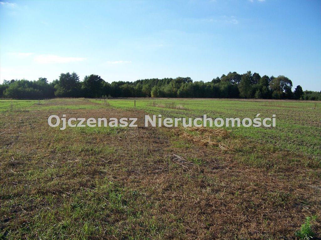 Na sprzedaż działka 1000 m² w Kruszynie z warunkami zabudowy Kruszyn  1 000m2 Foto 1