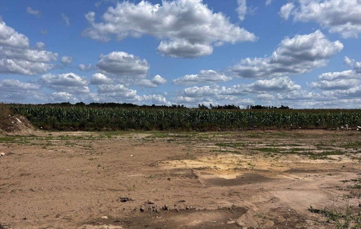 Działka budowlana na sprzedaż Bolewice  1 000m2 Foto 12