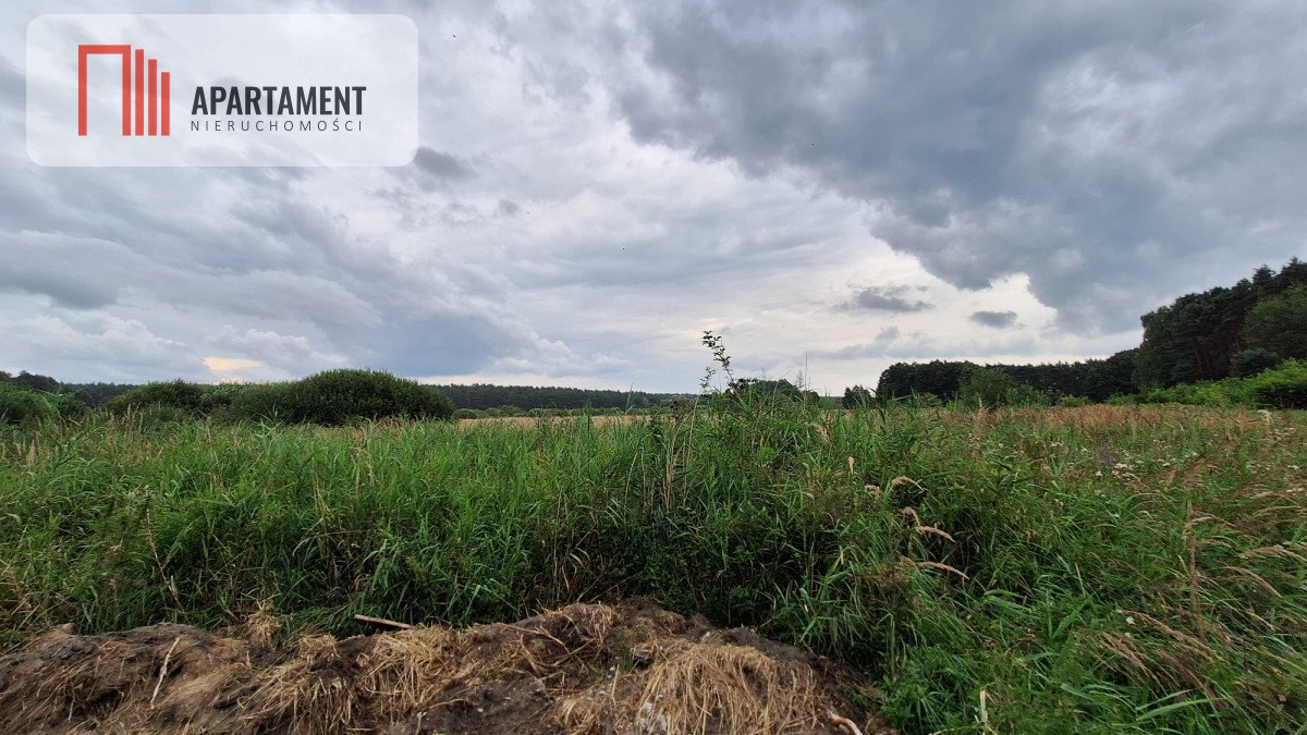 Działka gospodarstwo rolne na sprzedaż Białe Błota  3 014m2 Foto 3