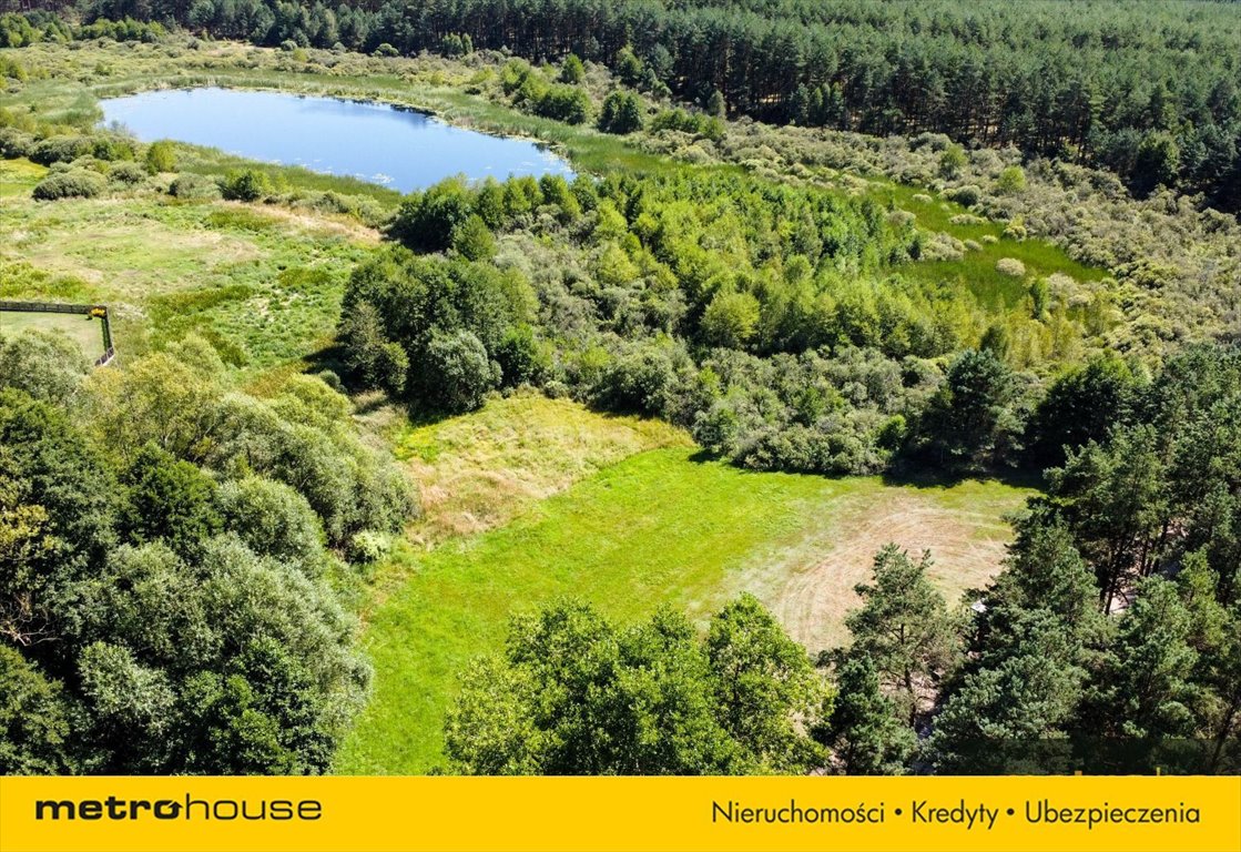 Działka rolna na sprzedaż Kurcze  8 071m2 Foto 4
