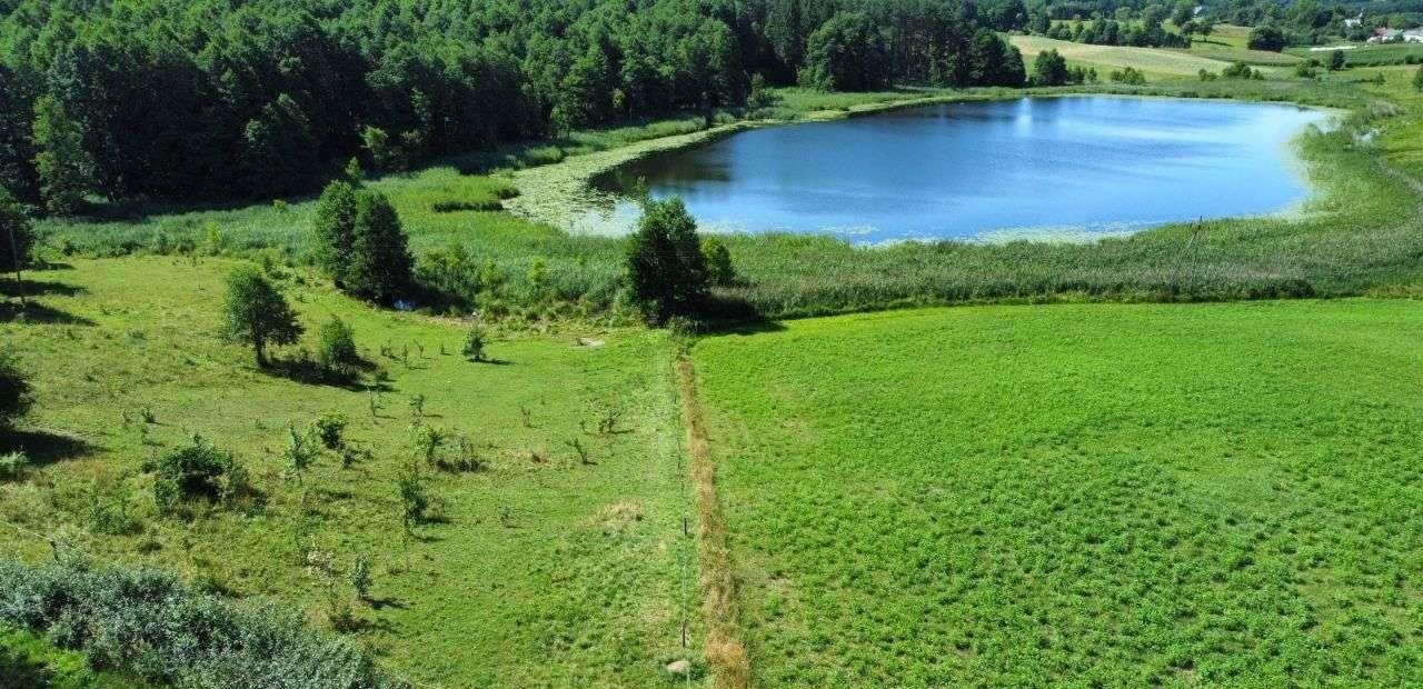 Działka rolna na sprzedaż Jeleniewo  2 800m2 Foto 7