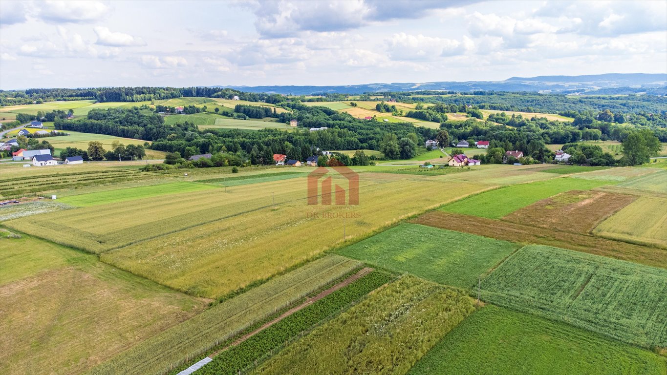 Działka budowlana na sprzedaż Broniszów  3 100m2 Foto 4