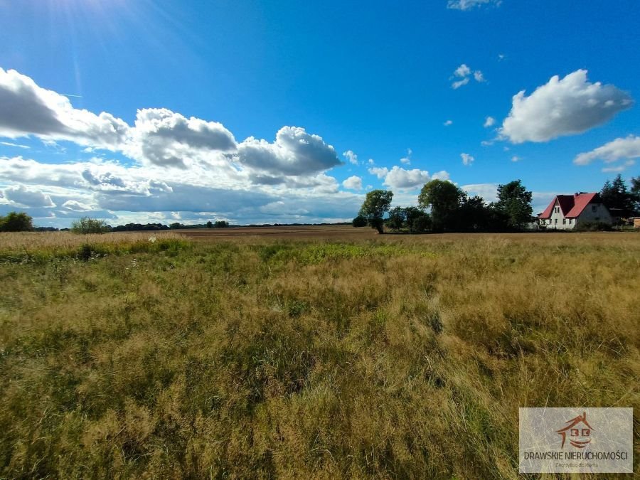 Działka rolna na sprzedaż Rzęśnica, Rzęśnica  9 700m2 Foto 5