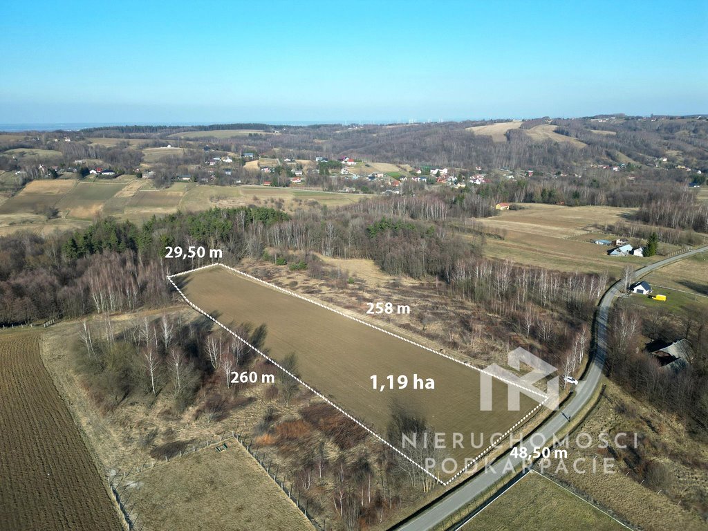Działka 1,19 ha z WZ pod dom w spokojnej okolicy Chmielnik  11 900m2 Foto 1