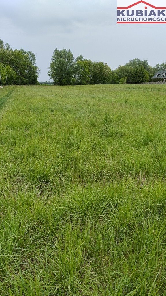 Działka budowlana na sprzedaż Pruszków  1 950m2 Foto 1