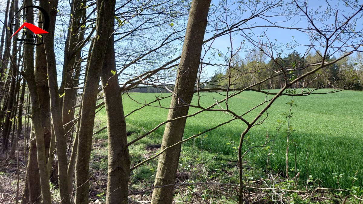 Działka gospodarstwo rolne na sprzedaż Kozjaty  8 000m2 Foto 5