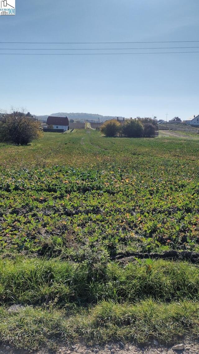 Działka budowlana na sprzedaż Świerklaniec  5 274m2 Foto 5