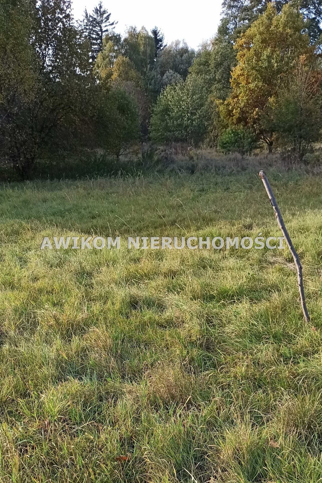 Działka budowlana na sprzedaż Jaktorów, Budy-Grzybek  1 092m2 Foto 6