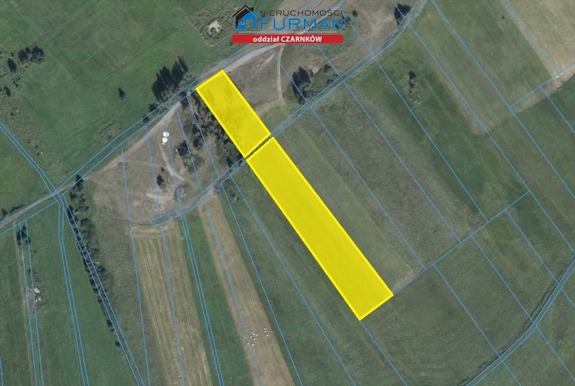 Działka rolna na sprzedaż Zofiowo  12 900m2 Foto 1