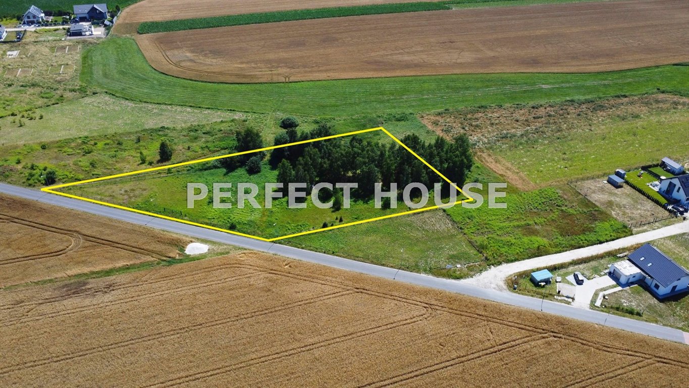 Sprzedam dużą działkę 4100 m² z MPZP i mediami Gortatowo  4 100m2 Foto 1