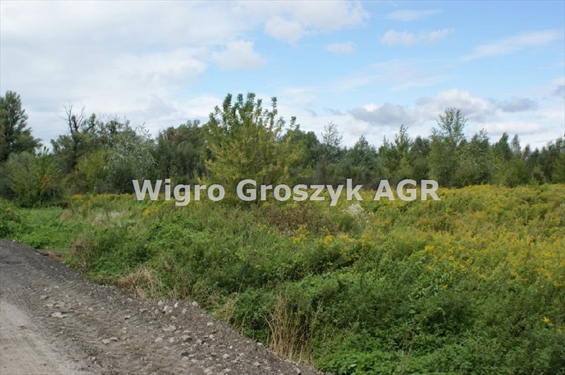 Na sprzedaż działka 31 524 m² pod zabudowę i rekreację w Warszawie Warszawa, Białołęka, Kępa Tarchomińska  31 524m2 Foto 1