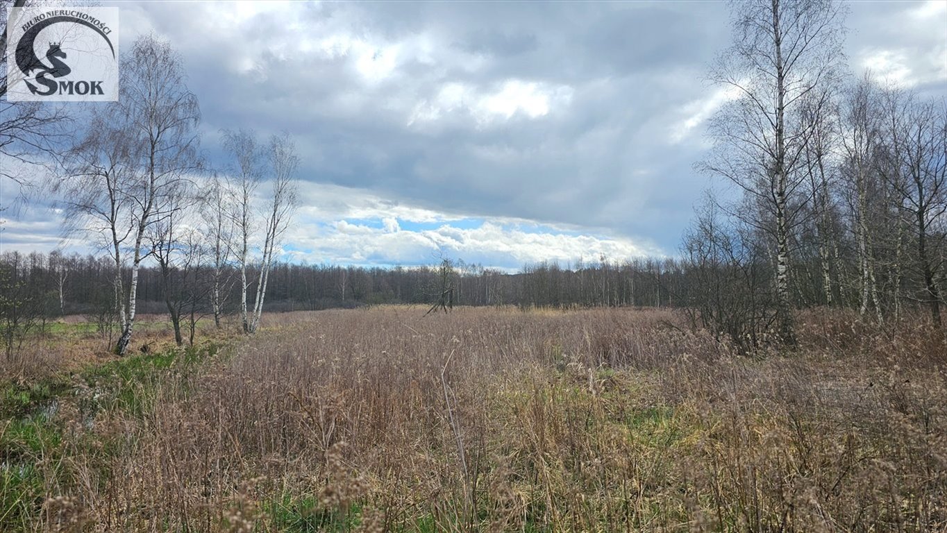 Działka rolna na sprzedaż Przeginia Narodowa  180 000m2 Foto 2