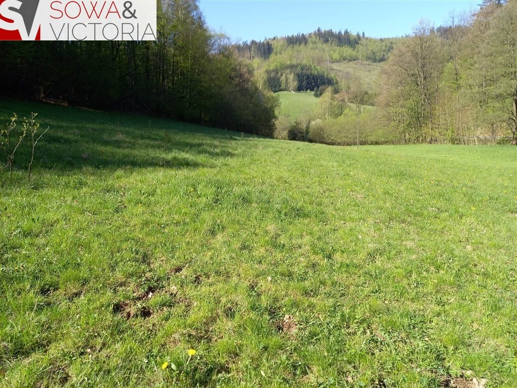 Działka budowlana na sprzedaż Michałkowa  8 428m2 Foto 5