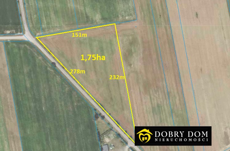 Do sprzedania atrakcyjna działka rolna 1,75 ha z dojazdem asfaltowym Kadłubówka  17 500m2 Foto 1
