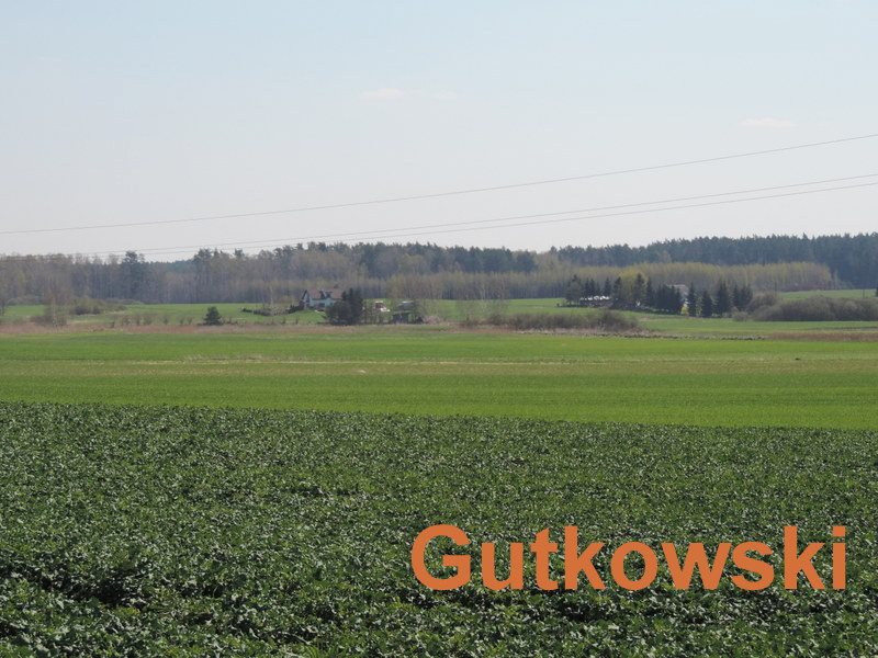 Działka rolna na sprzedaż Dziarny, Gmina Iława  4 140m2 Foto 1