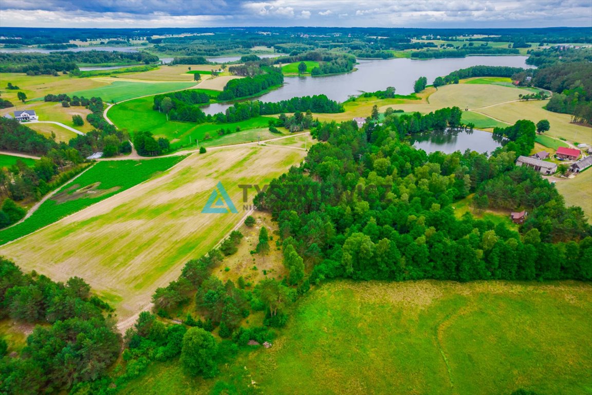 Działka rolna na sprzedaż Płocice  3 875m2 Foto 12