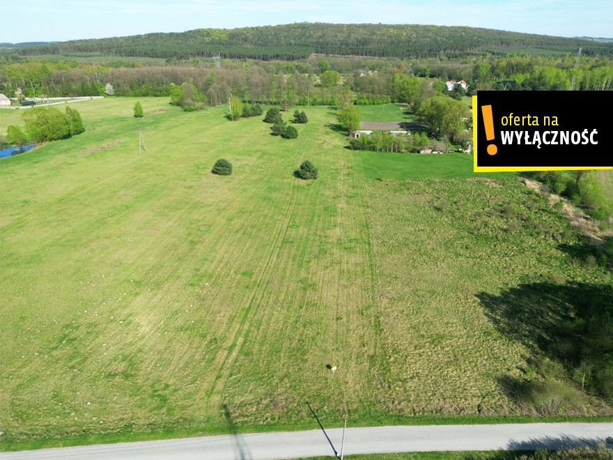 Działka 8116 m² z prądem, blisko rzeki i zalewu - zapraszam Zakrucze  8 116m2 Foto 1