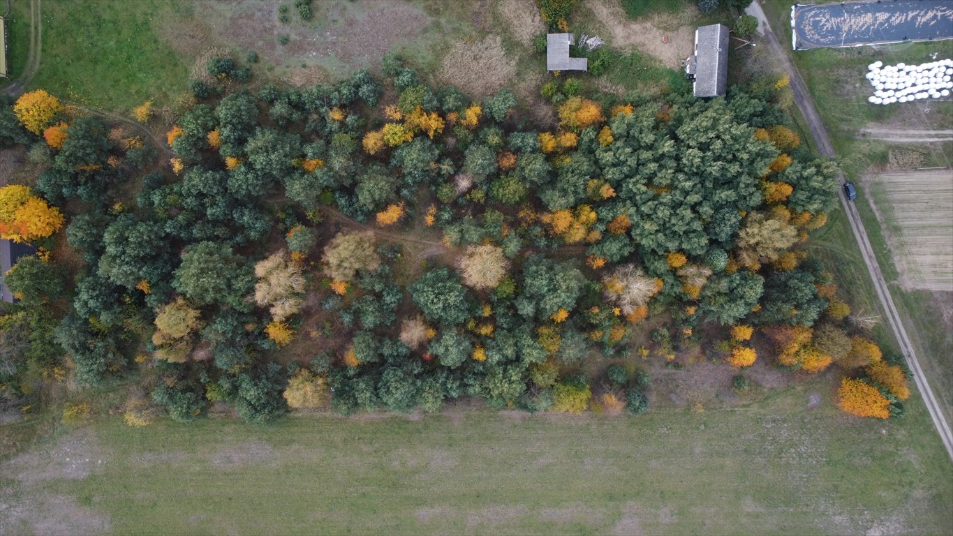 Działka budowlana na sprzedaż Cielętniki  13 500m2 Foto 3