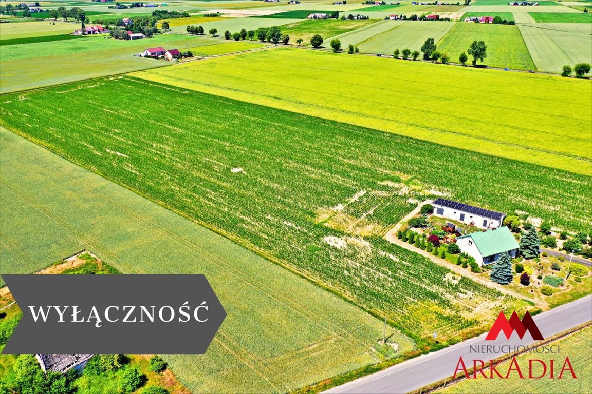 Dwie działki z warunkami zabudowy w Brzeziu – 6121 m² Brzezie  6 121m2 Foto 1