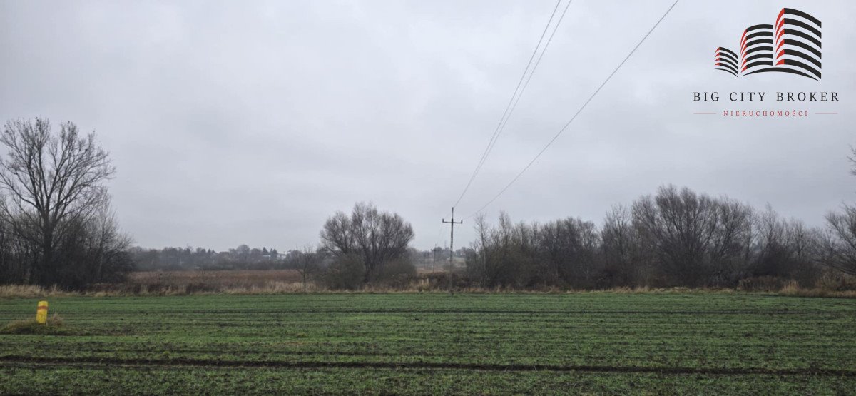 Działka rolna 3,68 ha z możliwością upraw i produkcji Kolonia Świdnik Mały  36 535m2 Foto 1