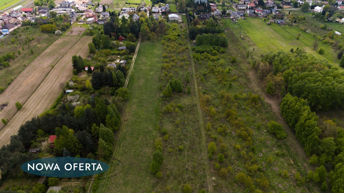 Działka przemysłowo-handlowa na sprzedaż Łódź, Żółwiowa  25 535m2 Foto 6