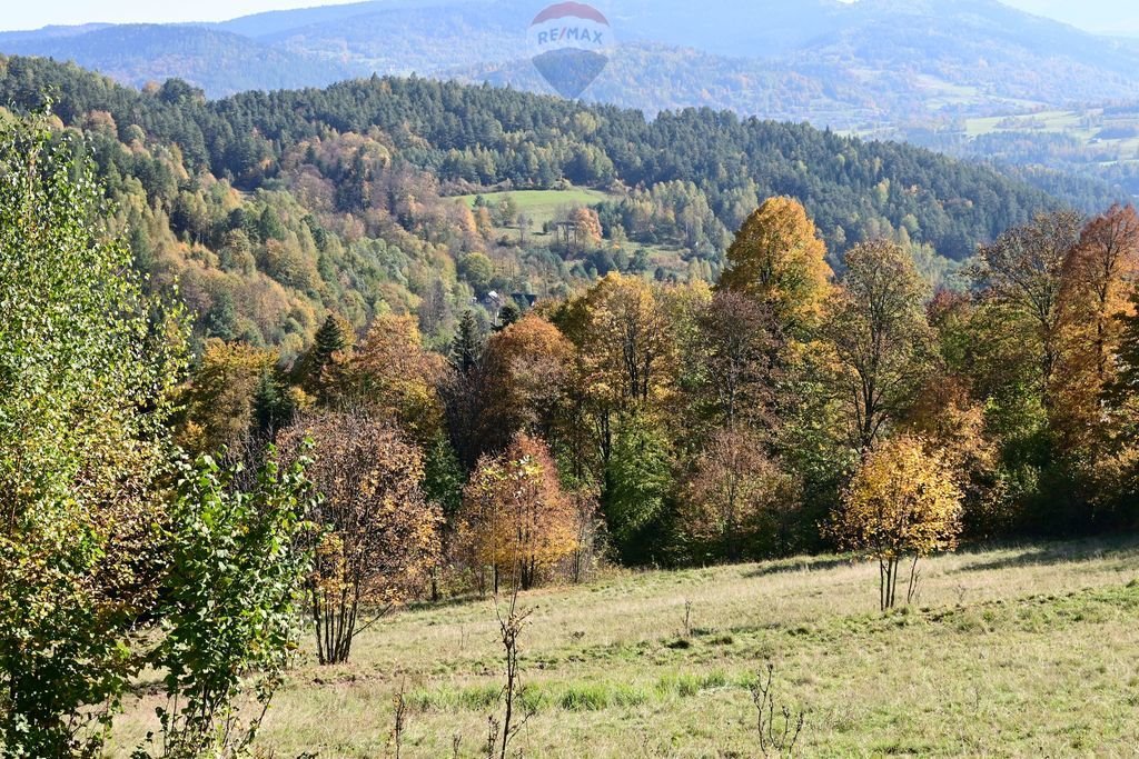 Działka budowlana na sprzedaż Kuków  6 070m2 Foto 6