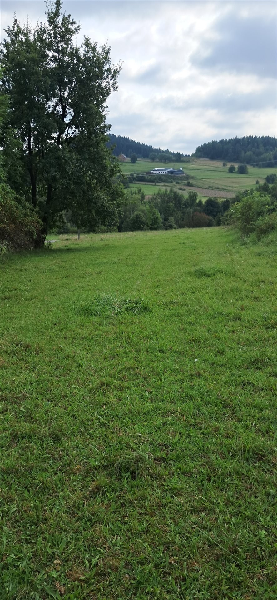 Działka inna na sprzedaż Dobra  2 305m2 Foto 1