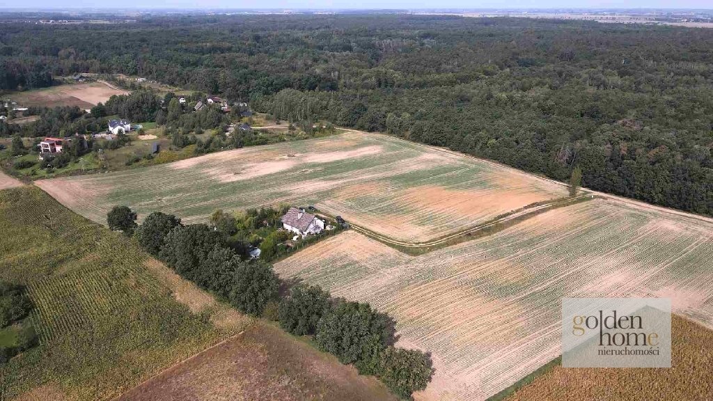 Działka budowlana na sprzedaż Grzebienisko, Świerkowa  2 555m2 Foto 11