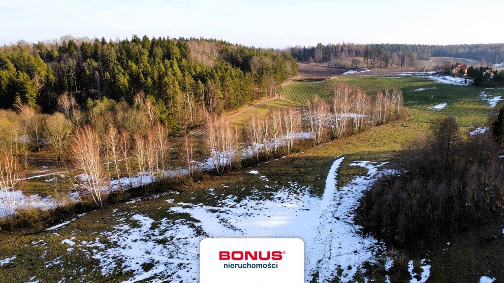 Działka rolna z potencjałem - pagórki, drzewa, blisko jeziora Wójtowo  74 900m2 Foto 1