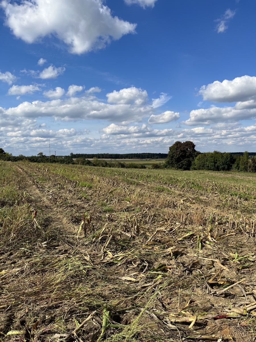 Działka budowlana na sprzedaż Sława  1 000m2 Foto 2