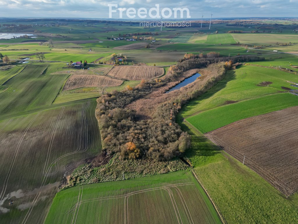 Działka inna na sprzedaż Laseczno, Laseczno Małe  3 001m2 Foto 8