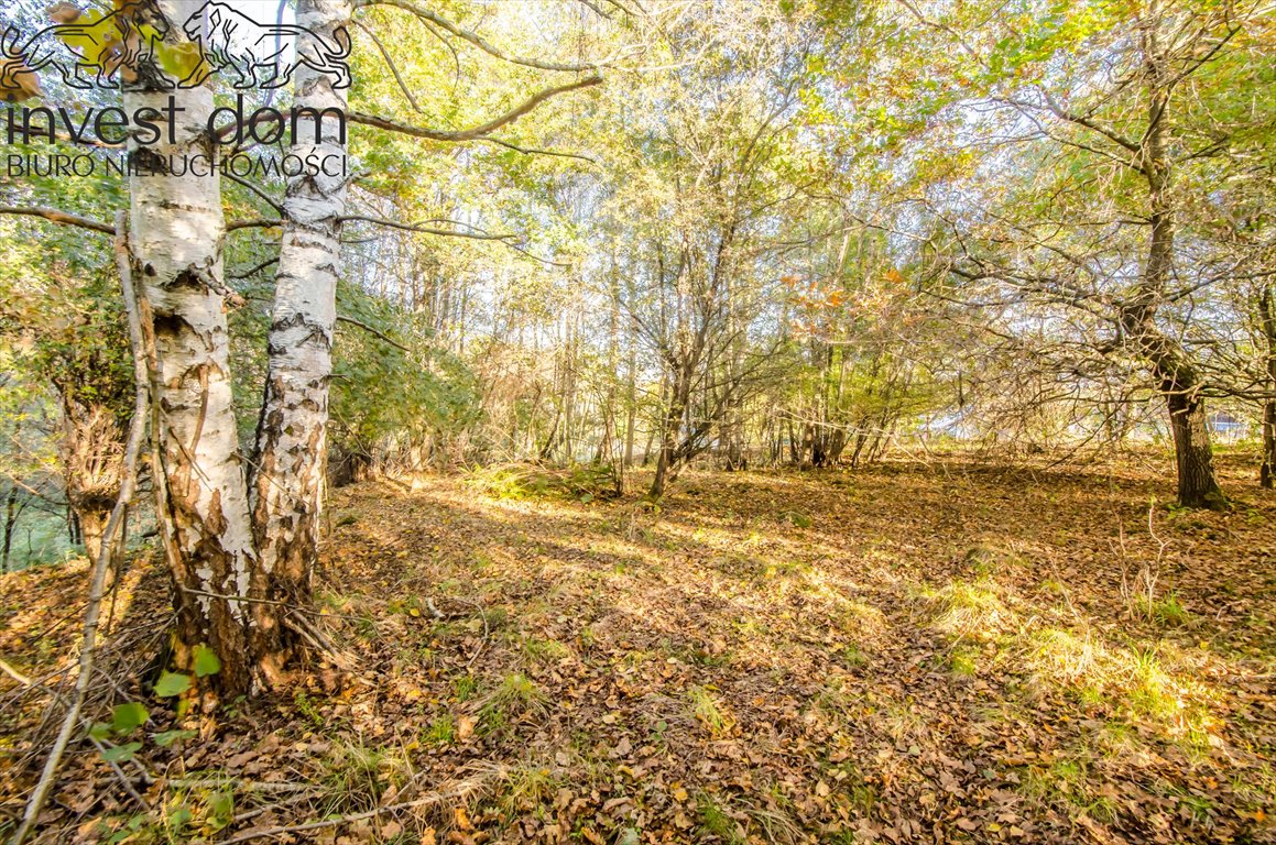 Działka budowlana na sprzedaż Gorlice  5 763m2 Foto 8