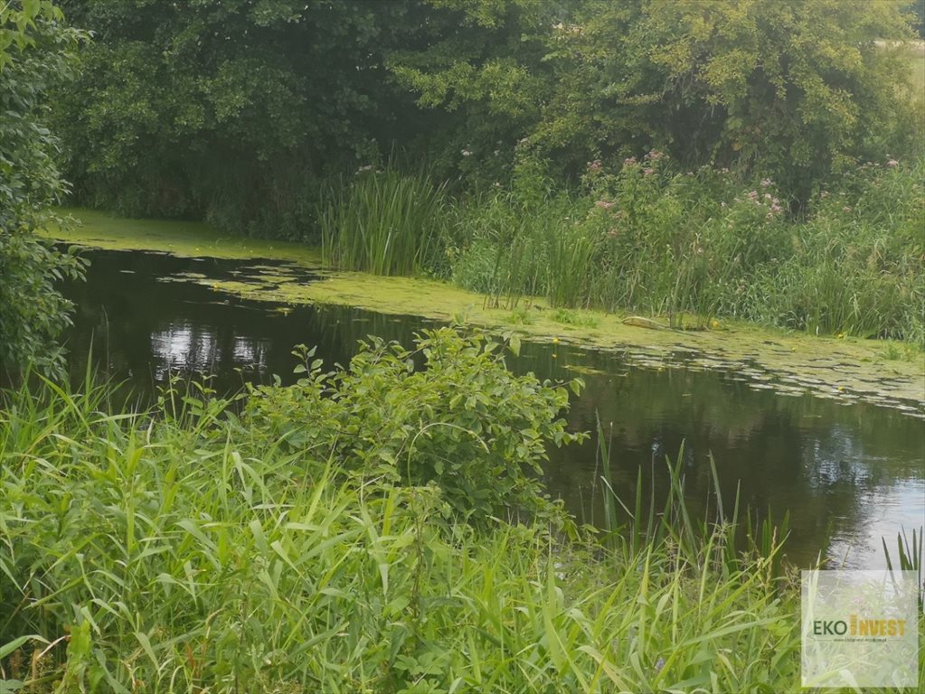 Działka rolna na sprzedaż Glinojeck, Glinojeck  11 334m2 Foto 3