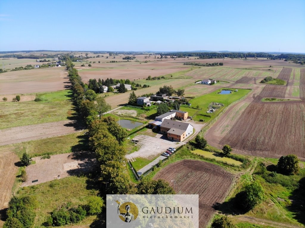 Działka budowlana na sprzedaż Skarszewy, Kamierowska  1 050m2 Foto 6