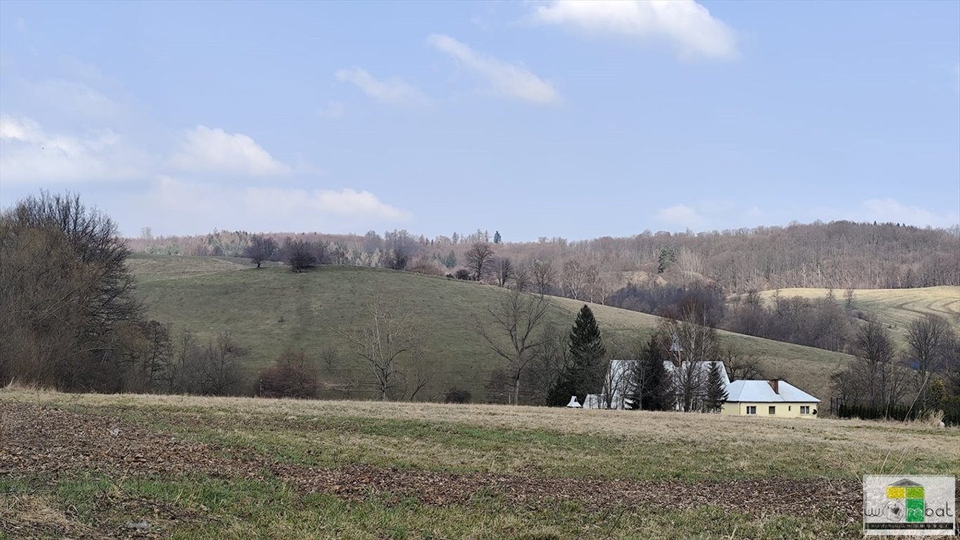 Działki inwestycyjne 43 ar w Zagórzu Śląskim (potencjał!) Zagórze Śląskie  4 300m2 Foto 1