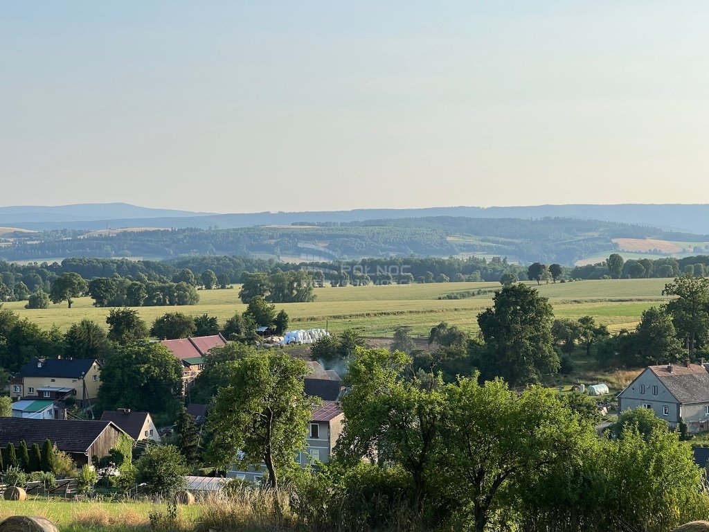 Działka budowlana na sprzedaż Bożków  10 600m2 Foto 2