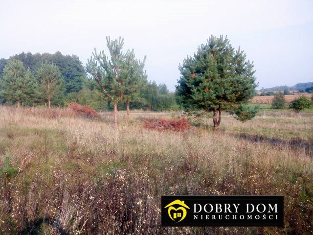 Działka 3000 m2 z pięknym widokiem, blisko Białegostoku Iwanówka  3 000m2 Foto 1