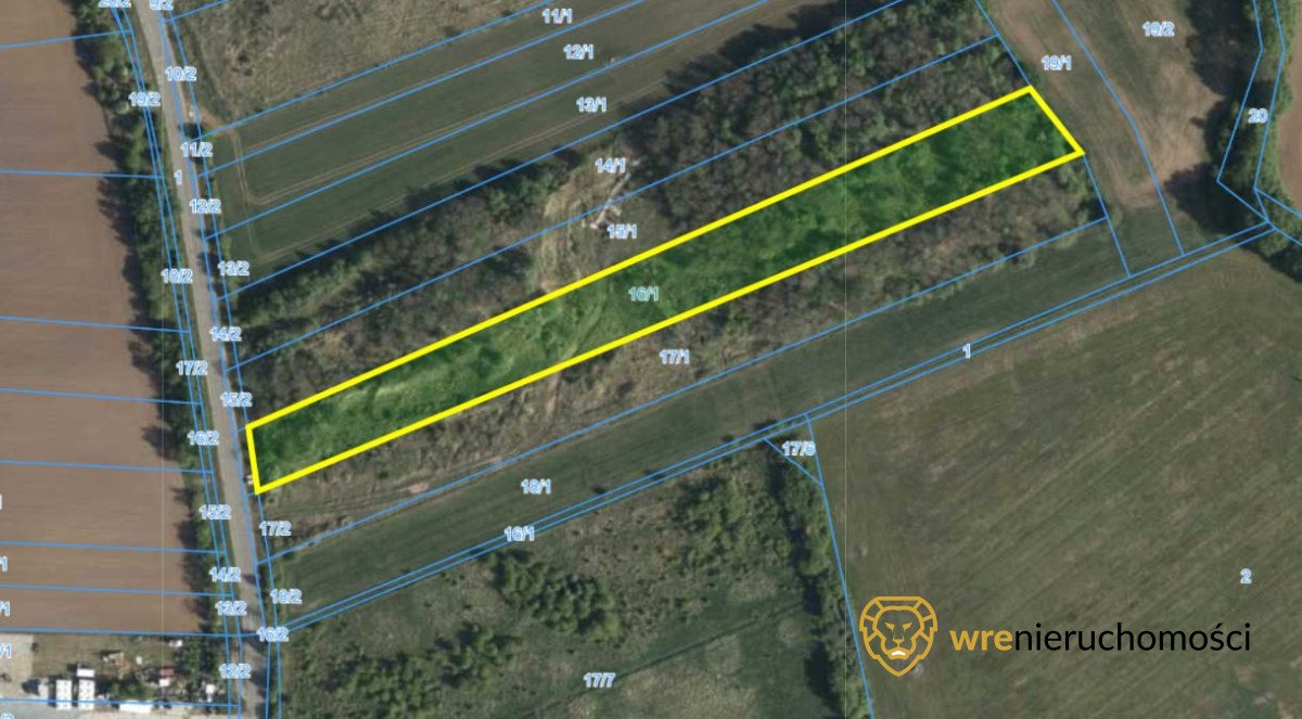 Działka leśna na sprzedaż Wrocław, Pracze Odrzańskie, Janowska  9 822m2 Foto 1