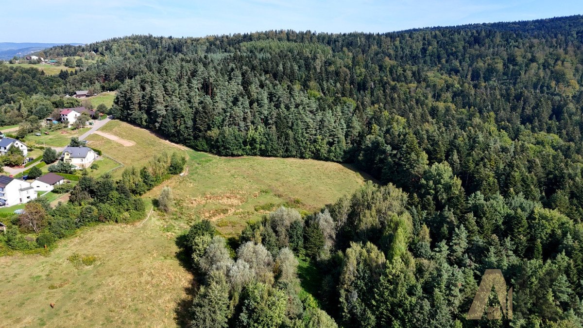 Działka rekreacyjna na sprzedaż Bartkowa-Posadowa  21 556m2 Foto 5