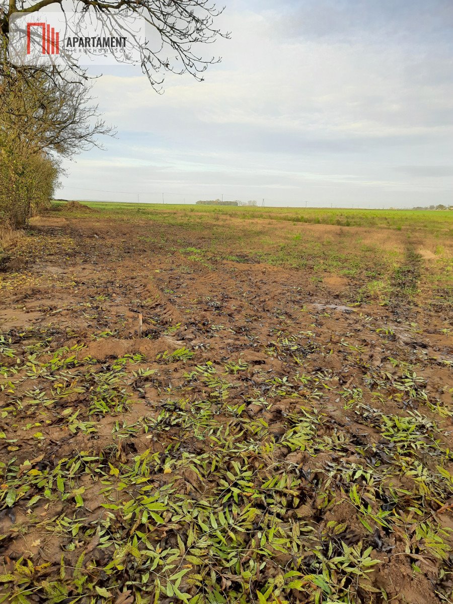 Działka budowlana na sprzedaż Jaroszewo  1 300m2 Foto 3