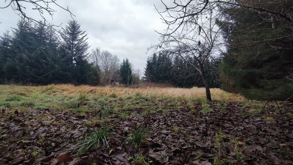 Dom na sprzedaż Przybiernów, Bolesława Chrobrego  250m2 Foto 6