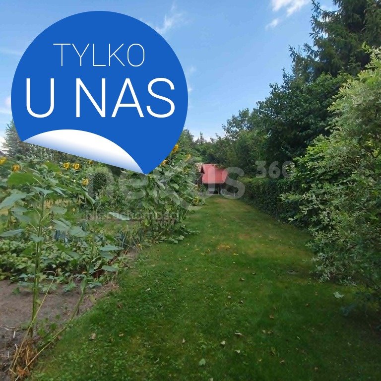 Zdjęcie 3