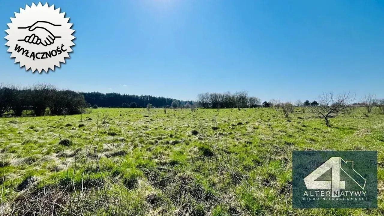 Działka pod inwestycję z domem, media, 4165 m2, Kraków Kraków, Tyniecka 2  4 165m2 Foto 1