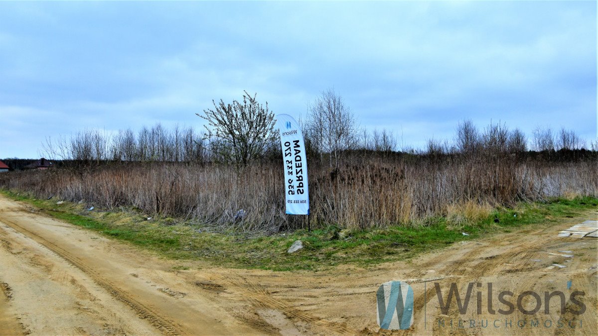 Działka budowlana na sprzedaż Ludwikowo  19 800m2 Foto 5