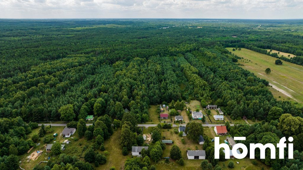 Działka leśna na sprzedaż Brzustów  5 400m2 Foto 4