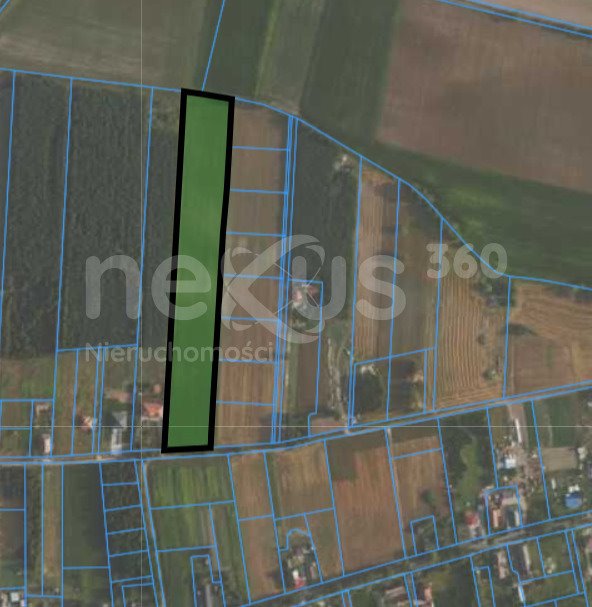 Działka 1,9 ha z możliwością podziału na działki budowlane Zbytowa  18 667m2 Foto 1