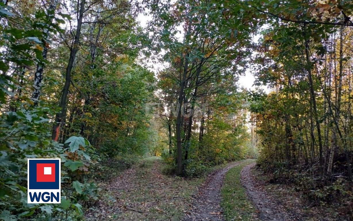 Działka leśna na sprzedaż Myszków, Nowa Wieś  1 959m2 Foto 8